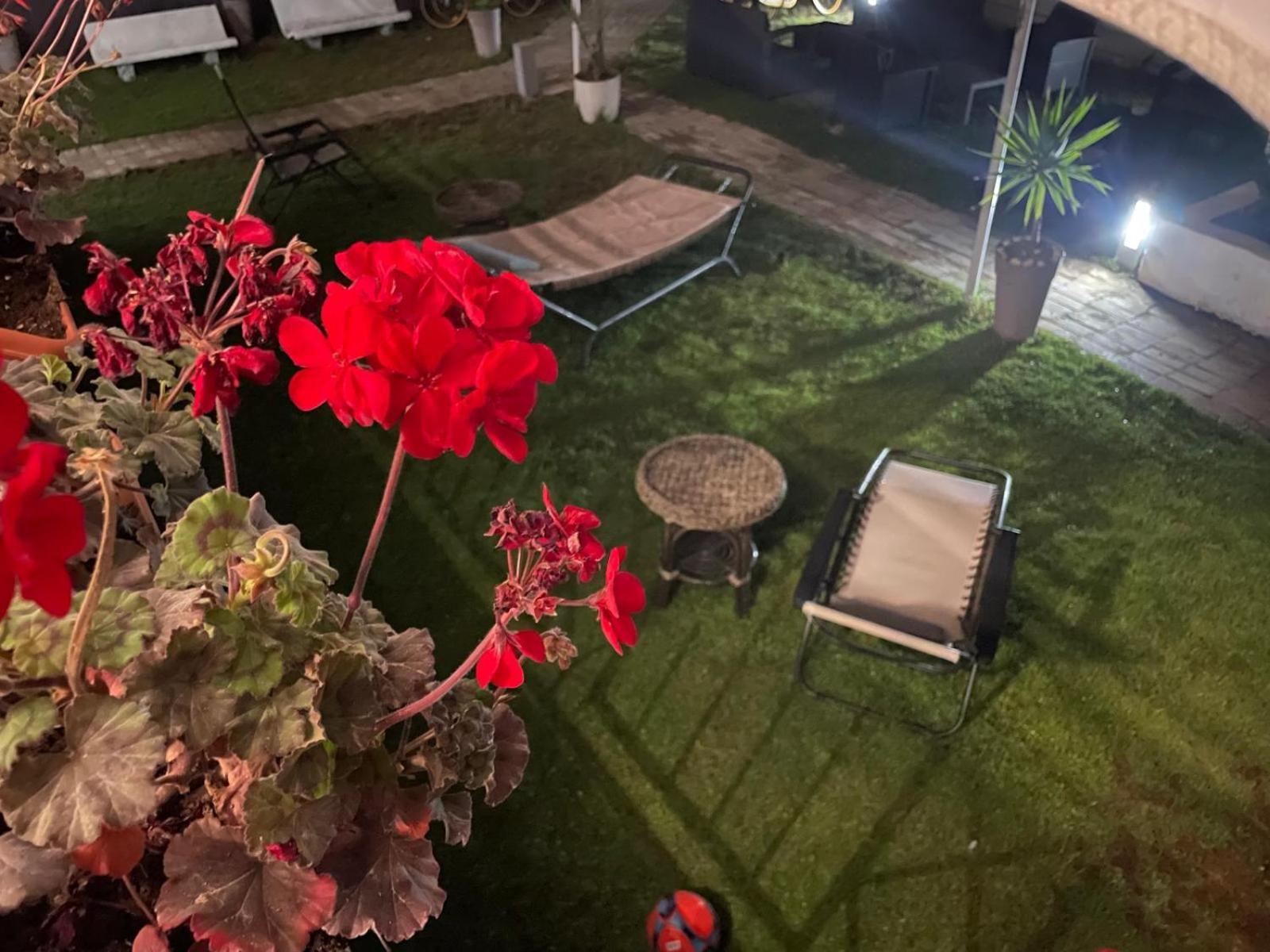Solaris Paestum Bed & Breakfast Eksteriør bilde